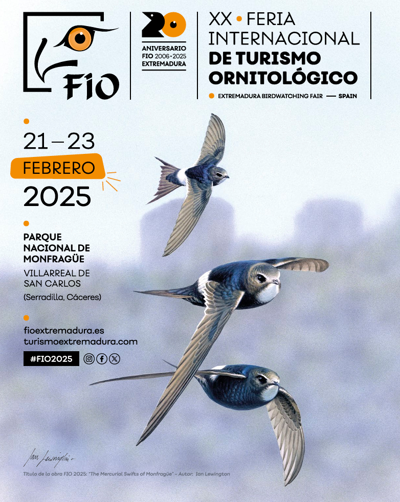 FIO 2025 web