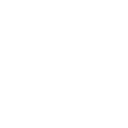 governance