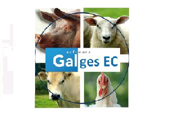Galges 7 Smart ERP